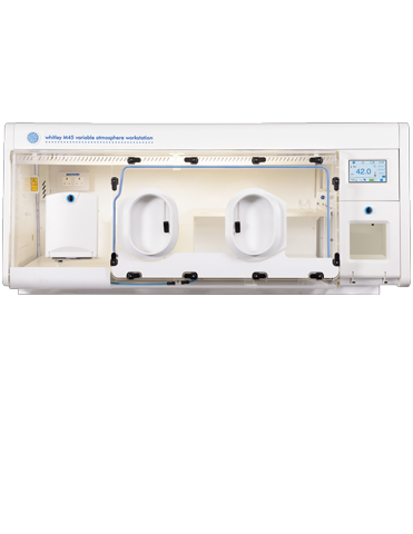 Whitley M45 Workstation